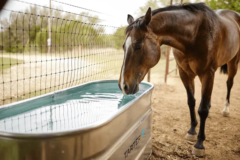 Tarter Oval Ultra 125 - Tarter