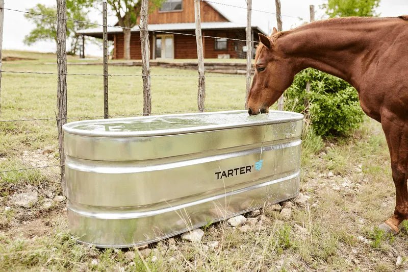 Tarter Oval Ultra 170 - Tarter