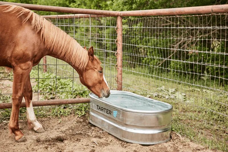 Tarter Oval Versa 40 - Tarter