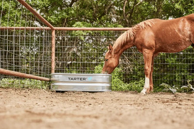 Tarter Oval Versa 40 - Tarter