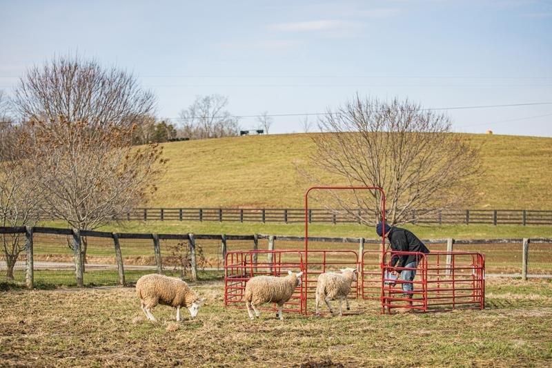 Tarter Pipe Panel Walk - Thru - Tarter