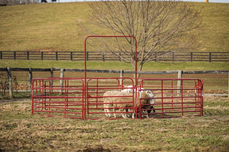 Tarter Pipe Panel Walk - Thru - Tarter