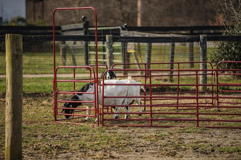 Tarter Pipe Panel Walk - Thru - Tarter