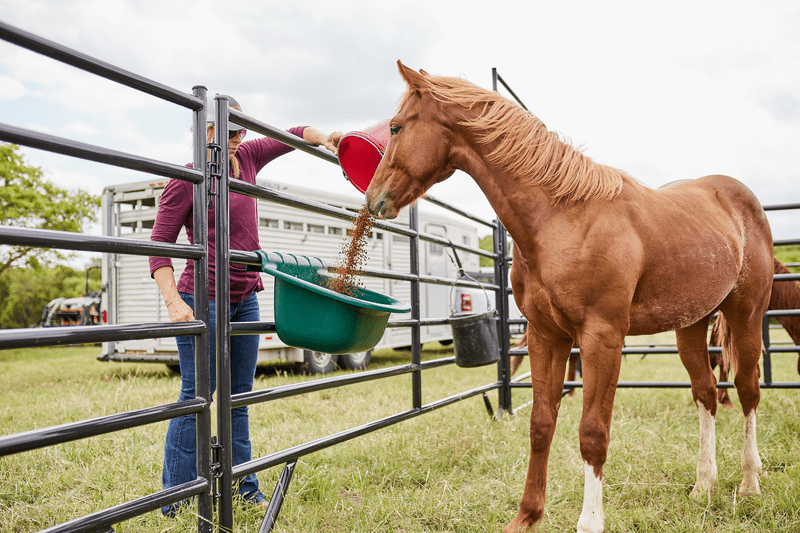 Tarter Portable Gate Feeders - Tarter