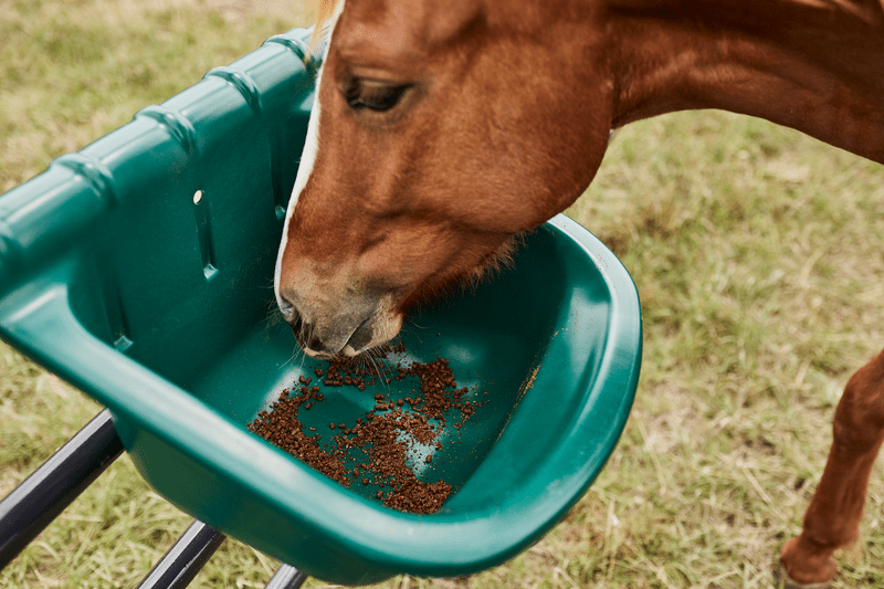 Tarter Portable Gate Feeders - Tarter