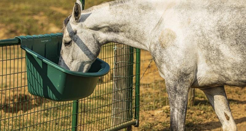 Tarter Portable Gate Feeders - Tarter