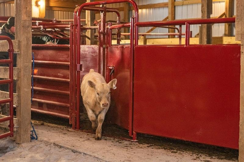 Tarter Sheeted Alley Panel W/ Cut Gate - Tarter