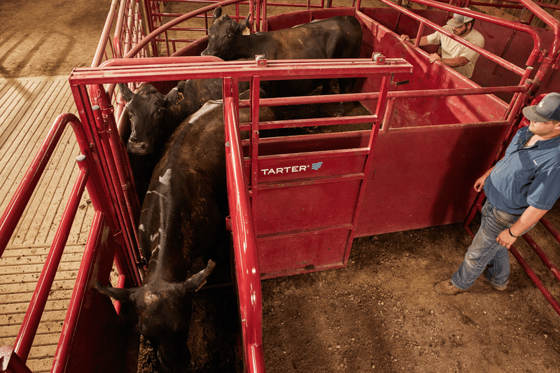 Tarter Sliding Alley Gate - Tarter