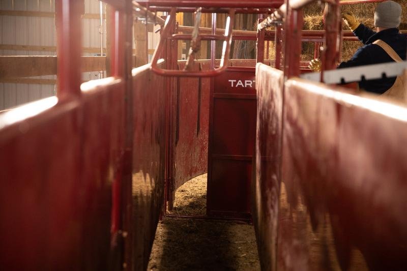 Tarter Sliding Alley Gate - Tarter