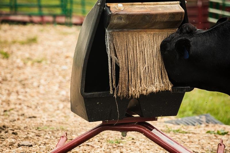 Tarter Super - Duty Mineral Feeder - Tarter