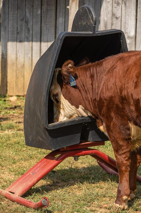 Tarter Super - Duty Mineral Feeder - Tarter