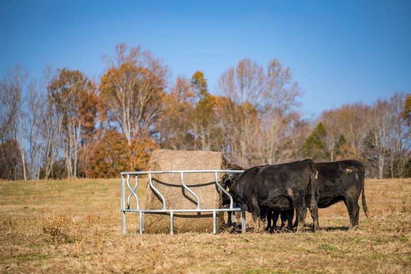 Tarter Titan Galvanized Cattle Feeder - Tarter