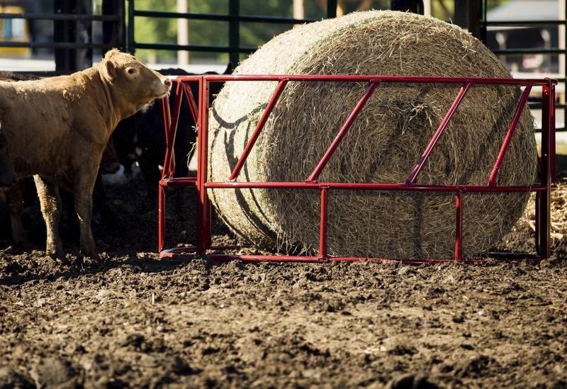 Tarter Valuline Cattle Bale Feeder - Tarter