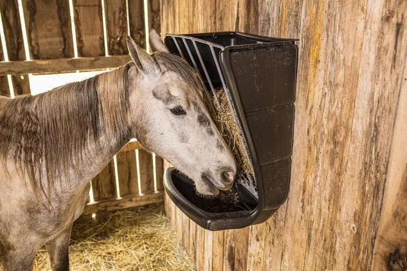 Tarter Wall Mount Poly Hay & Grain Feeder - Tarter