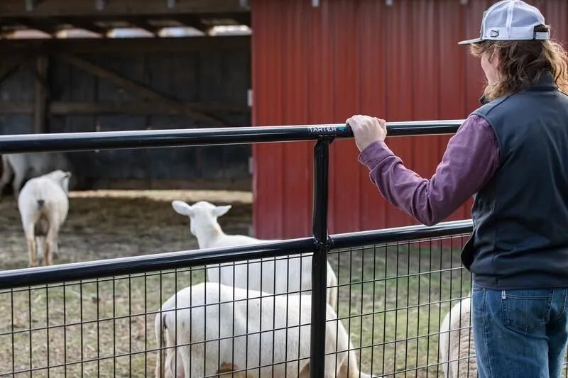 Tarter Watchman Wire Mesh Gate - Tarter