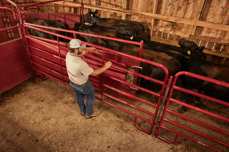 Tarter 180º x 20 Cattlemaster Sheeted Sweep System