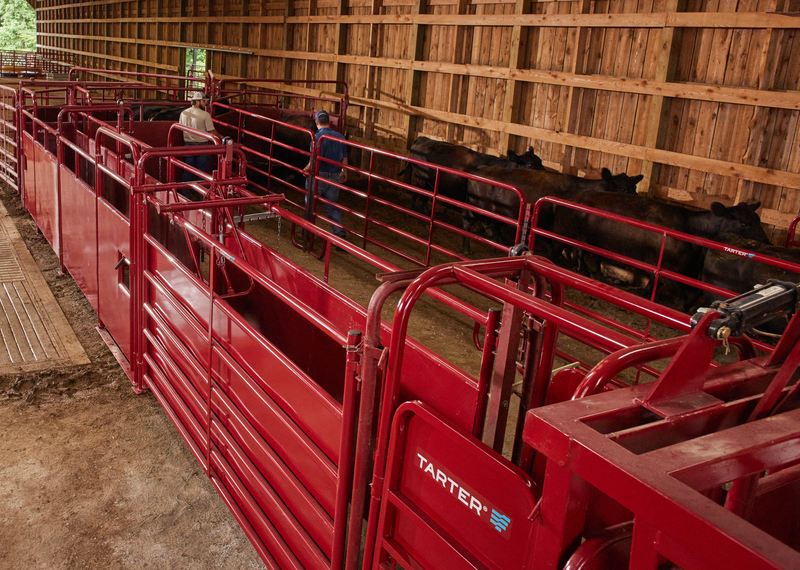 Tarter 180º x 20 Cattlemaster Sheeted Sweep System