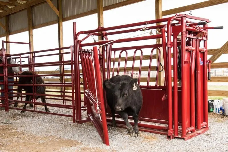 Tarter Cattlemaster Series 3 Squeeze Chute W/ Auto Headgate