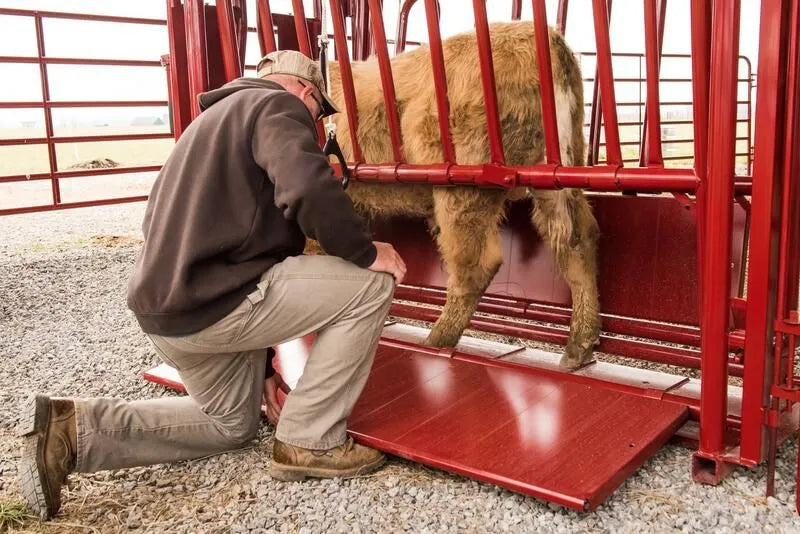 Tarter Cattlemaster Series 3 Squeeze Chute W/ Auto Headgate
