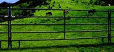 Powder River 5 - Rail AG Panels - Powder River