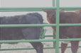 Powder River Calf Equipment - Powder River