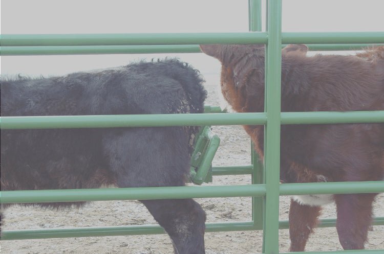 Powder River Calf Equipment - Powder River