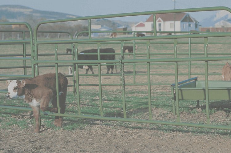 Powder River Calf Equipment - Powder River