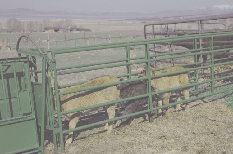 Powder River Calf Equipment - Powder River
