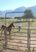 Powder River Powder Mountain Bow & Combo Gates - Powder River