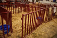 Tarter 6 FT. Heavy - Duty Vertical Bar Small Animal Panel - Tarter