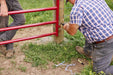 Tarter American Gate - Tarter