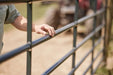 Tarter American Gate - Tarter