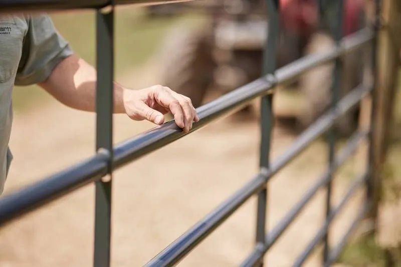 Tarter American Gate - Tarter