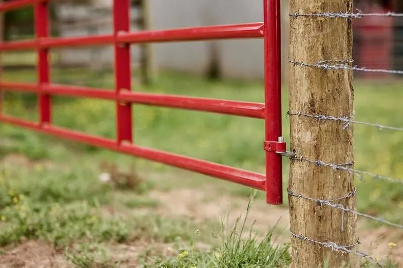Tarter American Gate - Tarter