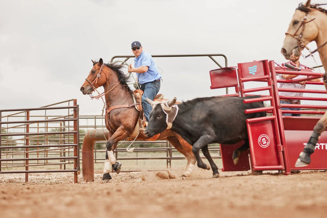 Tarter American Roping Chute - Tarter
