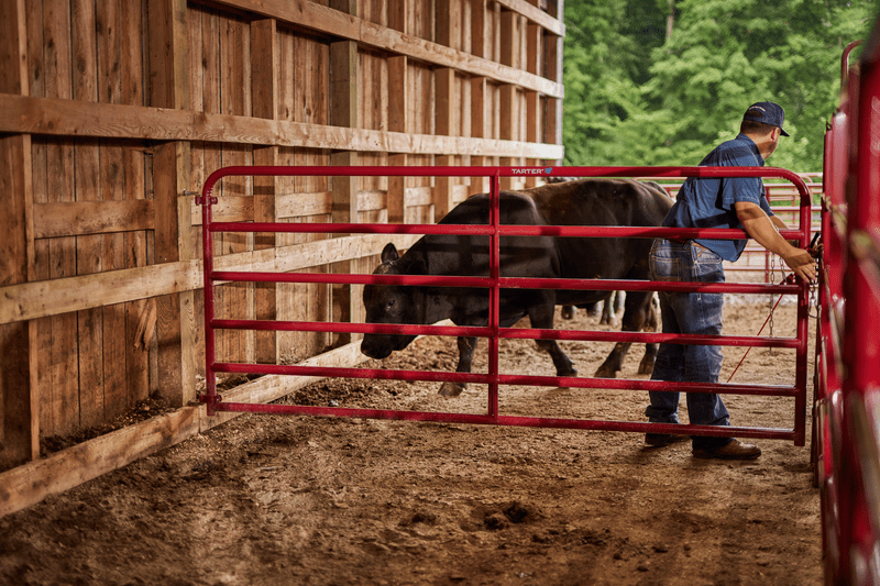 Tarter Bullmax Round Corner Gate - Tarter