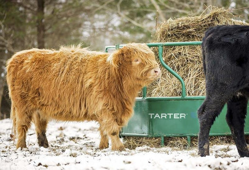 Tarter Cattle Flex Feeder - Tarter