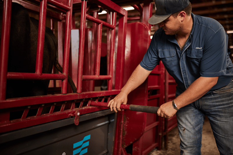 Tarter Cattlemaster Series 12 Hydraulic Chute - Tarter