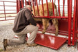 Tarter Cattlemaster Series 3 Squeeze Chute W/ Auto Headgate - Tarter