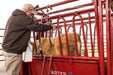 Tarter Cattlemaster Series 3 Squeeze Chute W/ Auto Headgate - Tarter