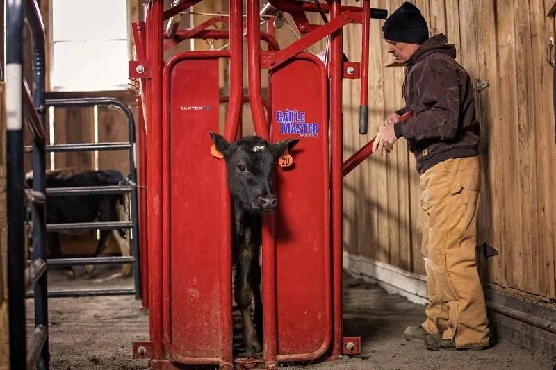 Tarter Cattlemaster Series 3 Squeeze Chute W/ Manual Headgate - Tarter