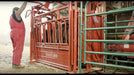 Tarter Cattlemaster Series 6 Squeeze Chute W/ Manual Headgate - Tarter