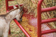 Tarter DuraTough Small Animal Feeder - Tarter