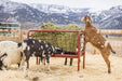 Tarter DuraTough Small Animal Feeder - Tarter