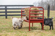 Tarter DuraTough Small Animal Feeder - Tarter