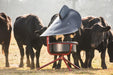 Tarter Elevated Broad Poly Vane Mineral Feeder - Tarter