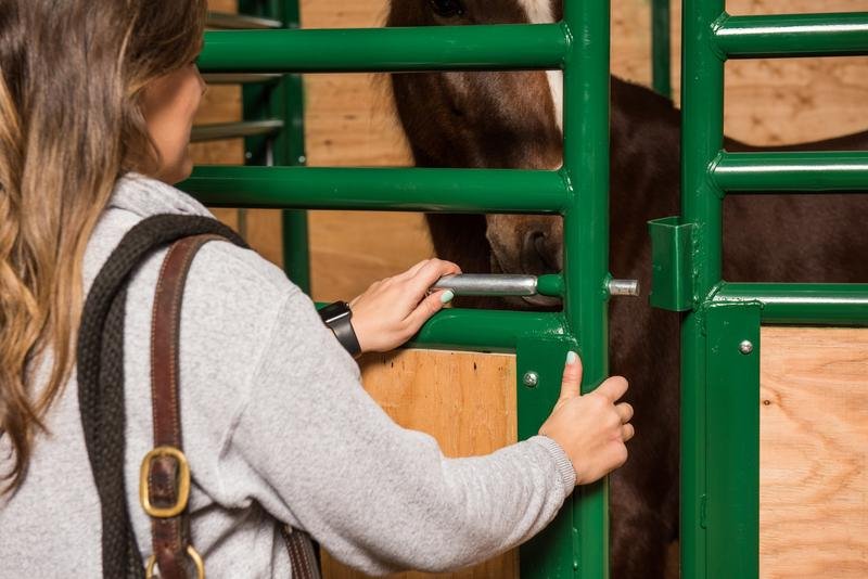 Tarter Expo Horse Stall - Tarter