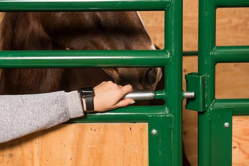 Tarter Expo Horse Stall - Tarter
