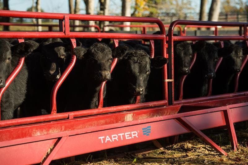 Tarter Fence Line Feeder Panel - Tarter