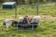 Tarter Goat Bunk Feeder - Tarter